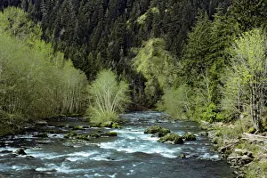 Mills: Elwha River between Lake Mills and Lake Aldwell