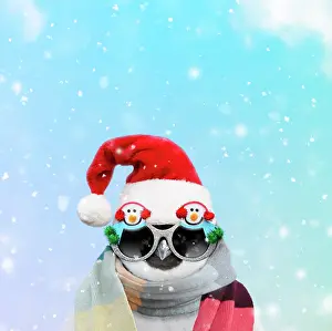 Scarves: Emperor Penguin