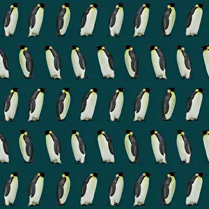 Textile: Emperor Penguin