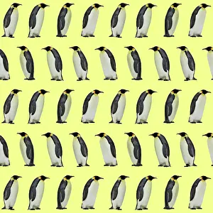 Textile: Emperor Penguin