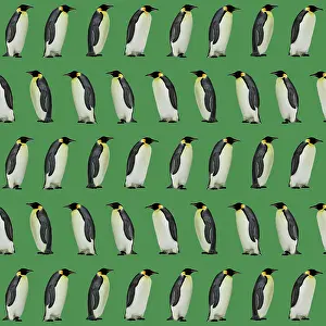 Textile: Emperor Penguin