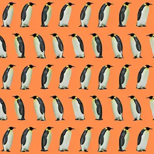 Designs: Emperor Penguin