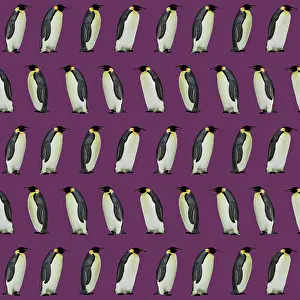 Designs: Emperor Penguin