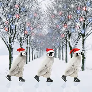 Skates: Emperor Penguin, three chicks ice skating wearing