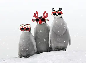 Novelty: Emperor Penguin, chicks wearing Christmas glasses