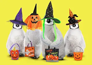 Scarf: Emperor Penguin, chicks wearing Halloween witches