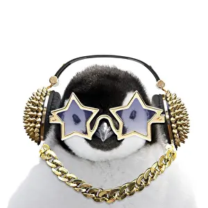 Headphones: Emperor Penguin, close-up of chick with gold
