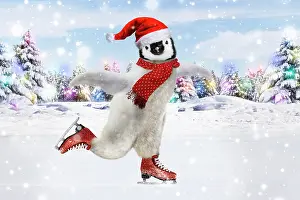 Skates: Emperor Penguin - ice skating