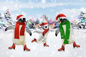 Emperor Penguin - three ice skating