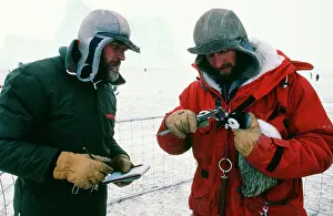 Measuring: Emperor Penguin - Measuring bill of Chick