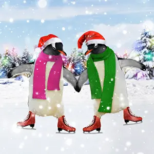Skates: Emperor Penguin - pair ice skating