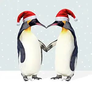 281217: Emperor Penguin, pair wearing Christmas hats and