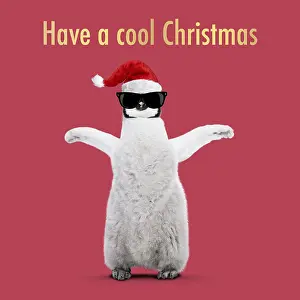 Text: Emperor Penguin, young arms raised with Christmas
