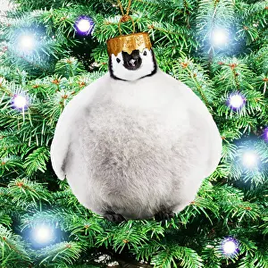 Baubles: Emperor Penguin, Young chick as a bauble
