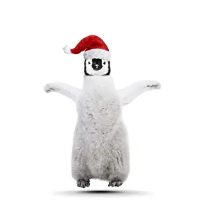 161118: Emperor Penguin, young jumping for joy at Christmas