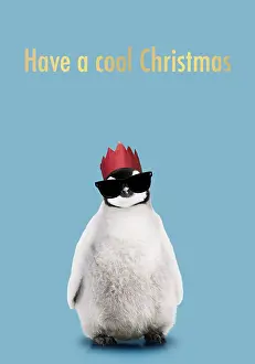 Text: Emperor Penguin, Young smiling with Christmas