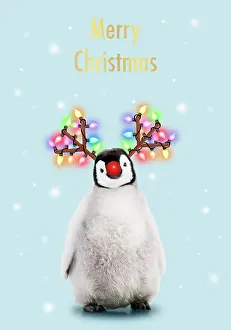 Rudolph: Emperor Penguin, Young smiling with Rudolph red