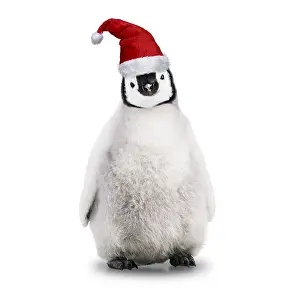 161118: Emperor Penguin, Young wearing Christmas hat