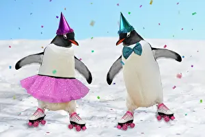 Confetti: Emperor Penguins