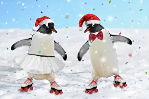 Confetti: Emperor Penguins