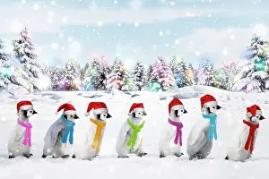 Scarves: Emperor Penguins walking in line wearing scarves