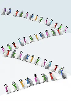 Scarves: Emperor Penguins walking in line wearing scarves