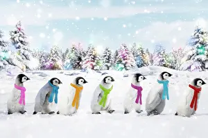 Scarf: Emperor Penguins walking in line wearing scarves