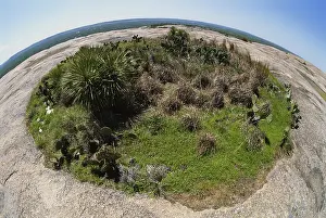Depression: Enchanted Rock, Texas