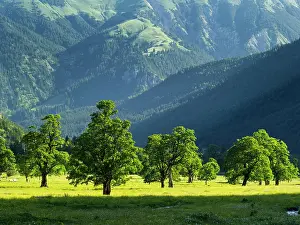 Vomp: Eng Valley, Karwendel mountain range, Austria