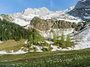 Vernus: Eng Valley, Karwendel mountain range, Austria