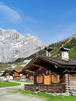 Acer: Eng Valley, Karwendel mountain range, Austria