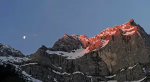 Acer: Eng Valley, Karwendel mountain range, Austria