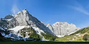 Acer: Eng Valley, Karwendel mountain range, Austria
