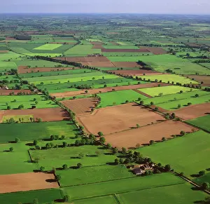 Dae Sasitorn: England - Aerial view, Field system near Helperby