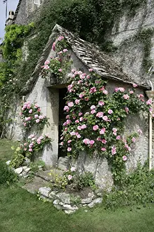 Doorway: English Country Cottage - with Roses around entrance