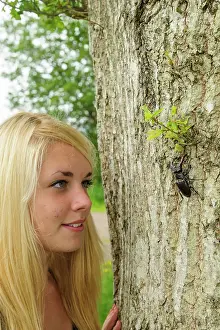 Inquisitive: English Oak