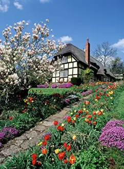 Cottages: English Thatched Roof Cottage and Garden