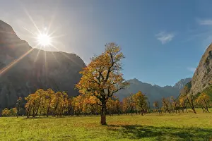 Tyrol: Engtal, Groier Ahornboden, Karwendel Mountains