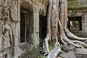 Religion: Engulfed by the Bohdi tree, jungle temple