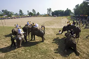 Competitions: Enter of the Elephants World Elephant PoloTerai Nepal