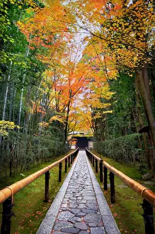 Acer: Entrance of Daitoku-ji temple in autumn in Ky&, x134be0;Japan