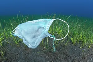 Scrap: Environmental problem caused by the misuse of masks