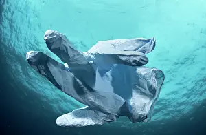 Scrap: Environmental problem caused by the misuse of masks