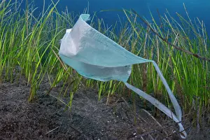 Scrap: Environmental problem caused by the misuse of masks
