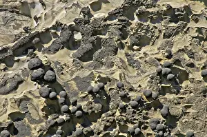 Acres: Eocene Sandstone