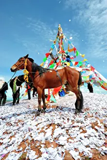 Lapste: Equestrian Festival Lapste
Before racing, the