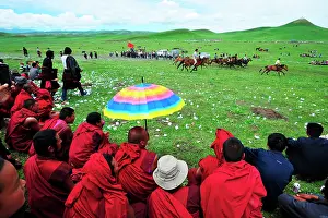 Monk: Equestrian Festival Lapste
Every year, in june