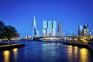 Cable: Erasmus Bridge (Erasmusbrug) and Rotterdam skyline