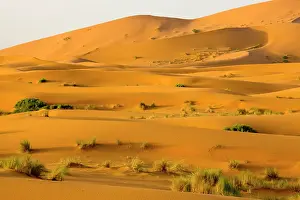 Chebbi: Erg Chebbi sand dunes