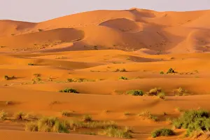 Chebbi: Erg Chebbi sand dunes
